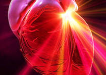 Укрепление сердечной мыщцы